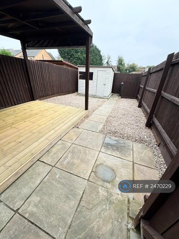 Back Garden