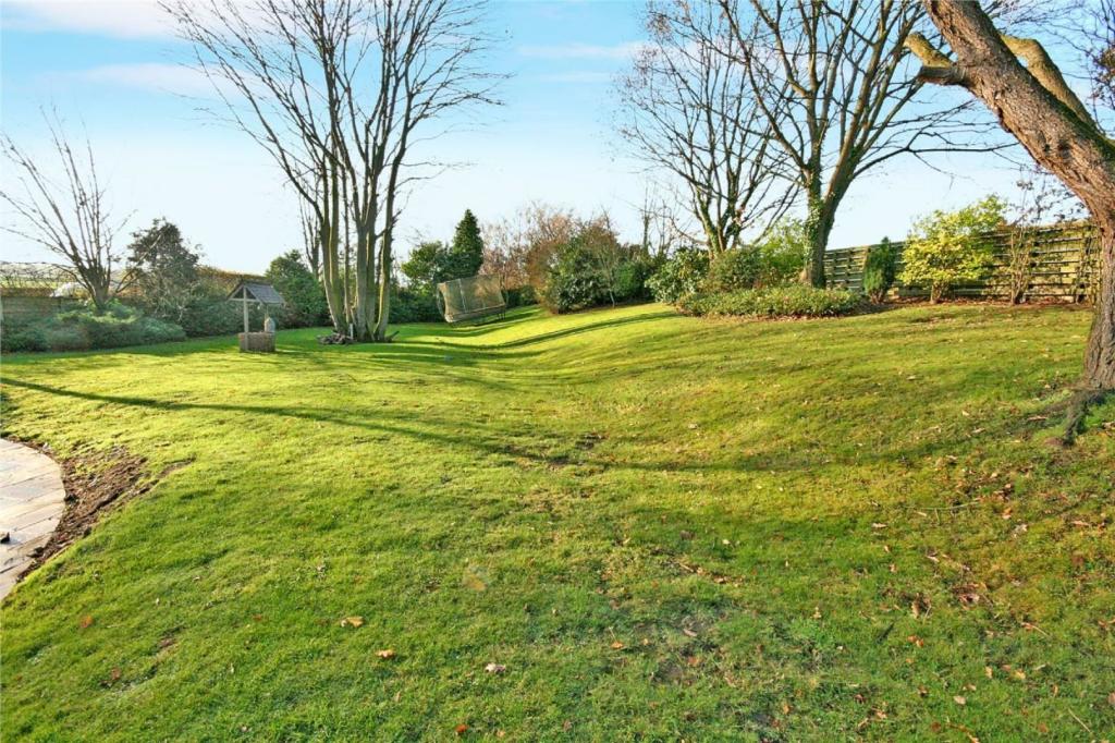 Garden 1