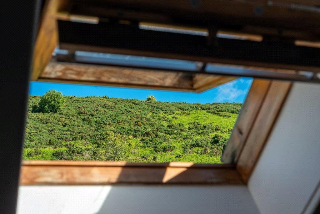 View From Boxroom