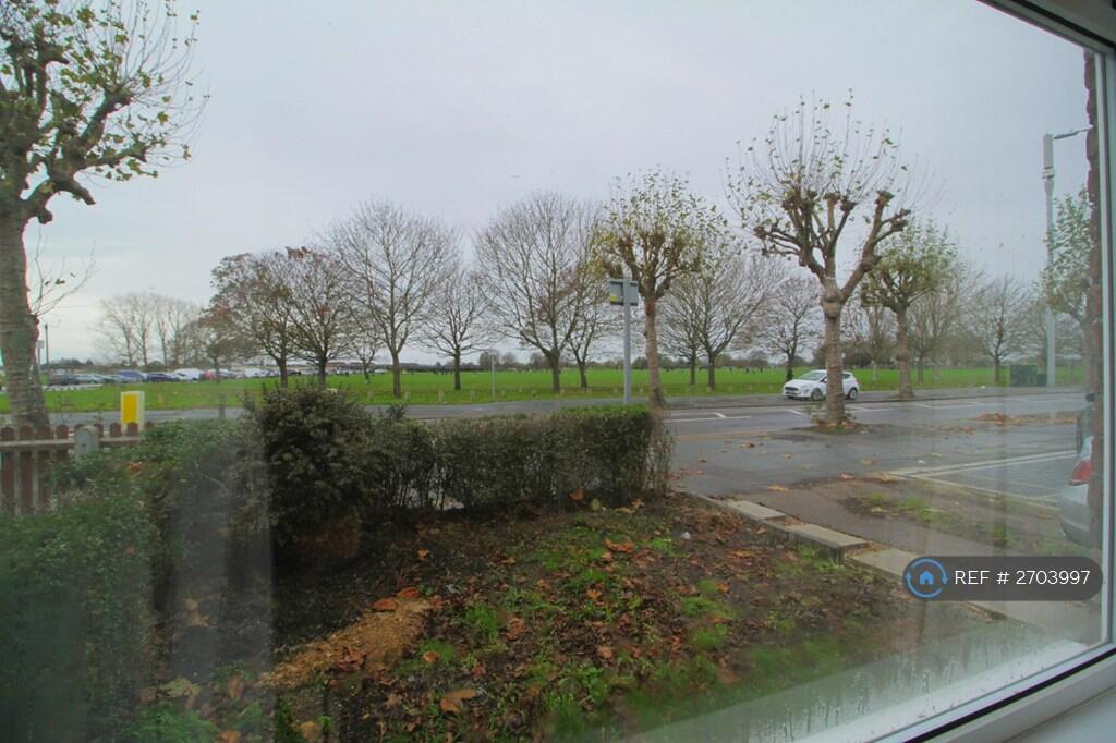 Views From Living Room