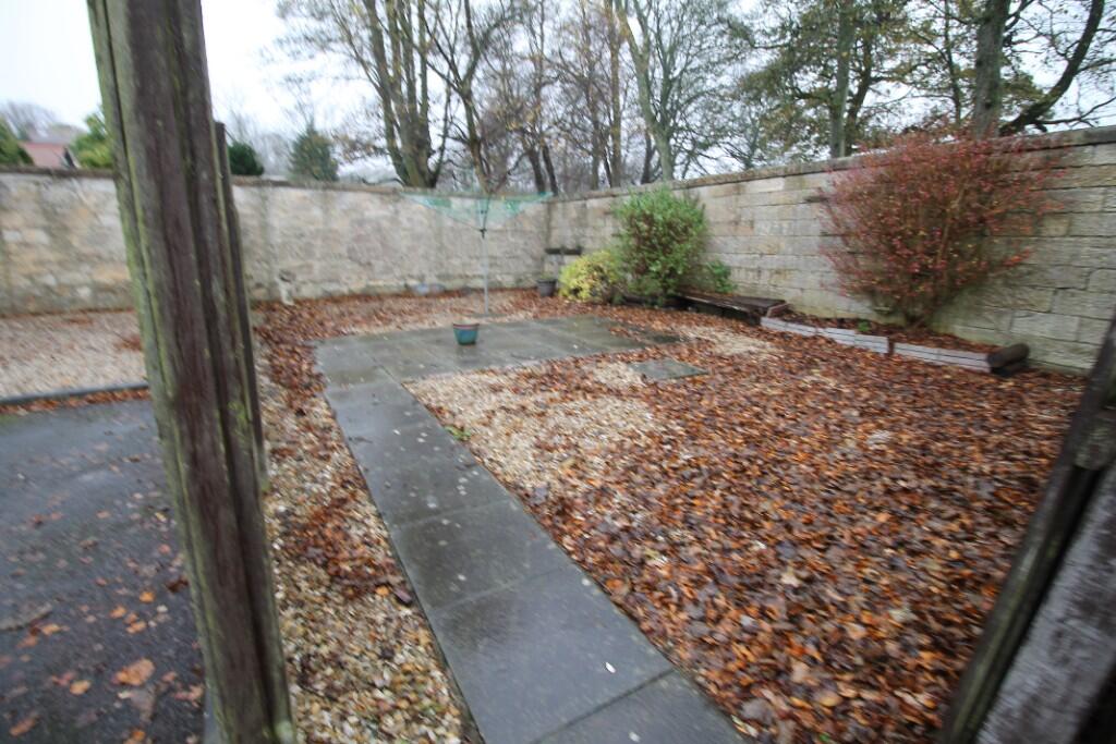 Shared garden area