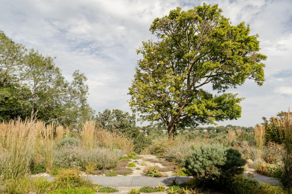 233989 - 20240828-CAMP-RD_TMH-1_HI_RES.JPG