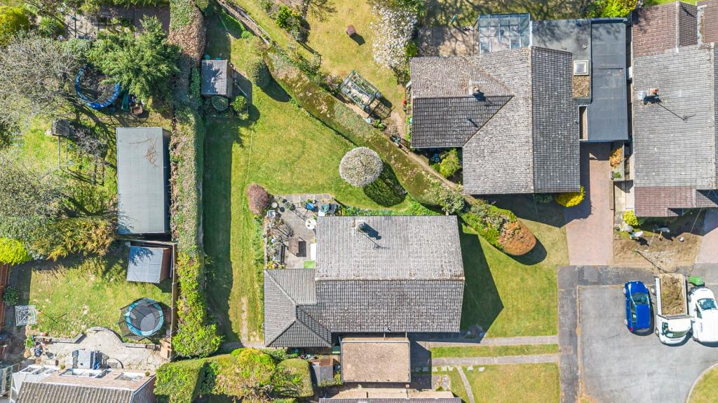 Bird's-Eye View