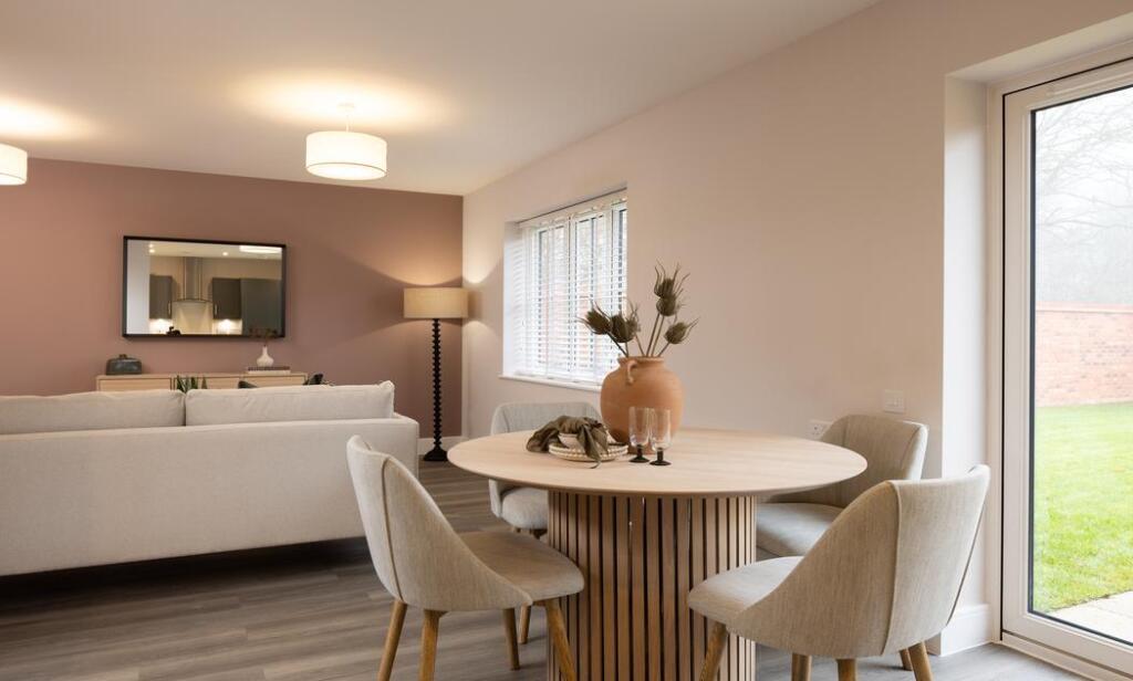 Dandara - The Orchard - The Willow, Home 91