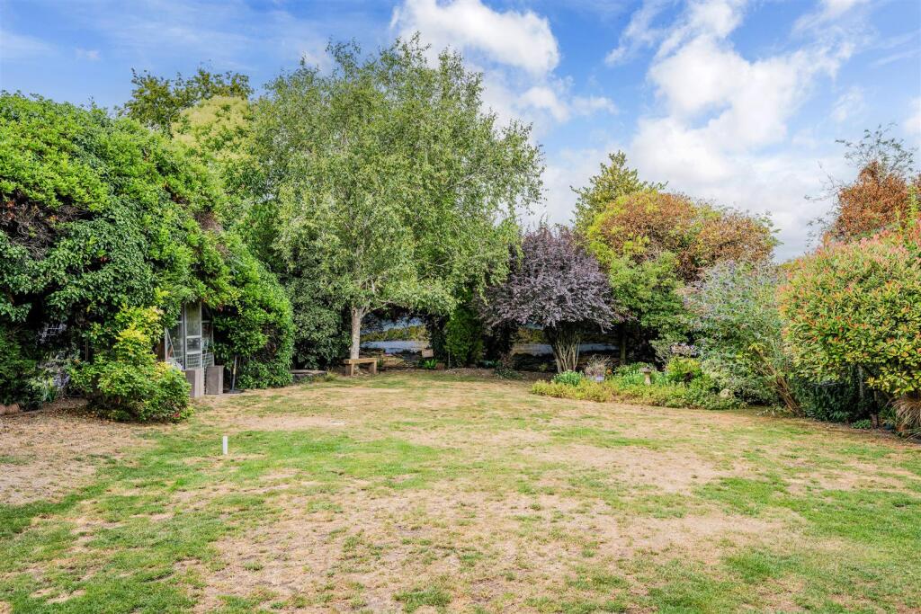 ROSE BUSHES, 63 (2).jpg