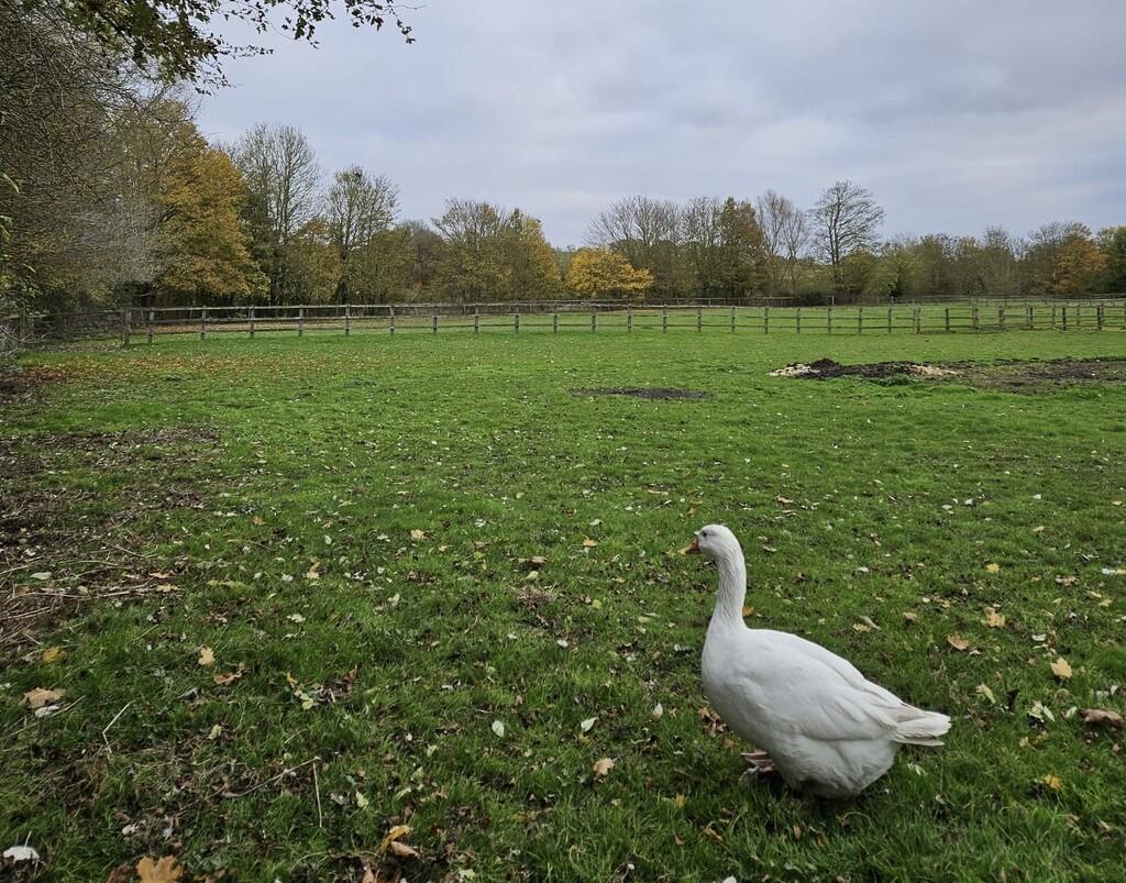 9e989d22-c79b-4b9...