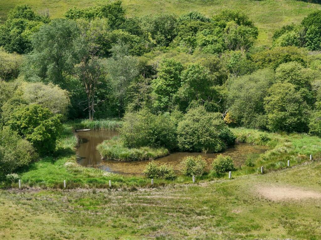 Wildlife Pond