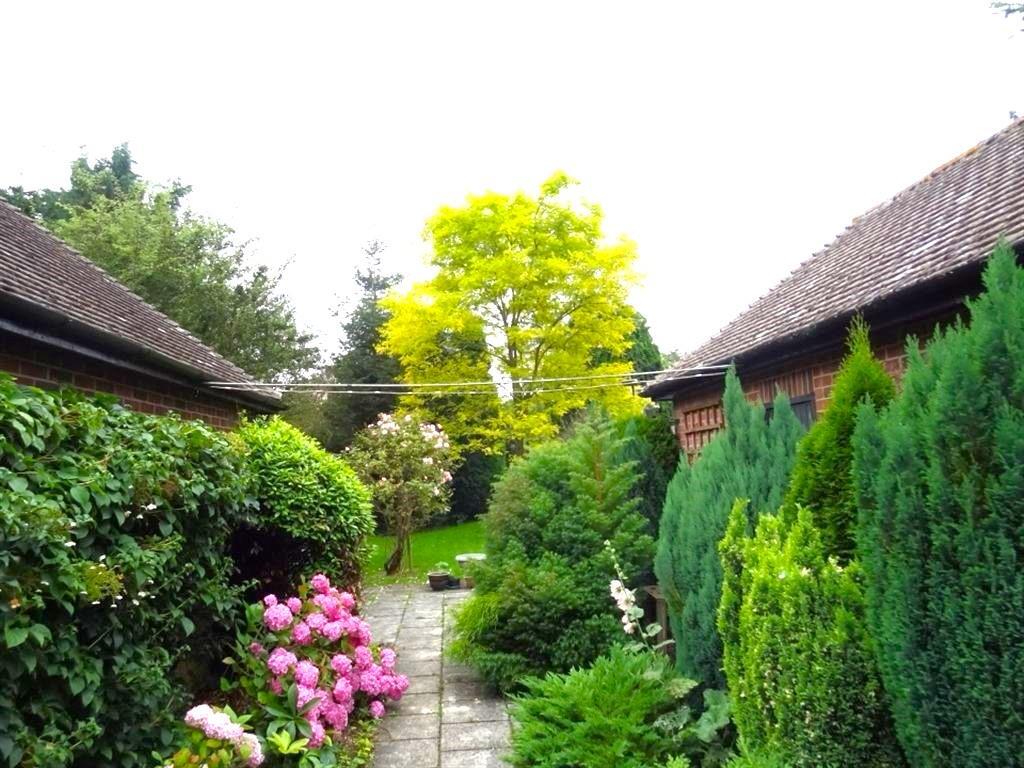 Garden g.jpg