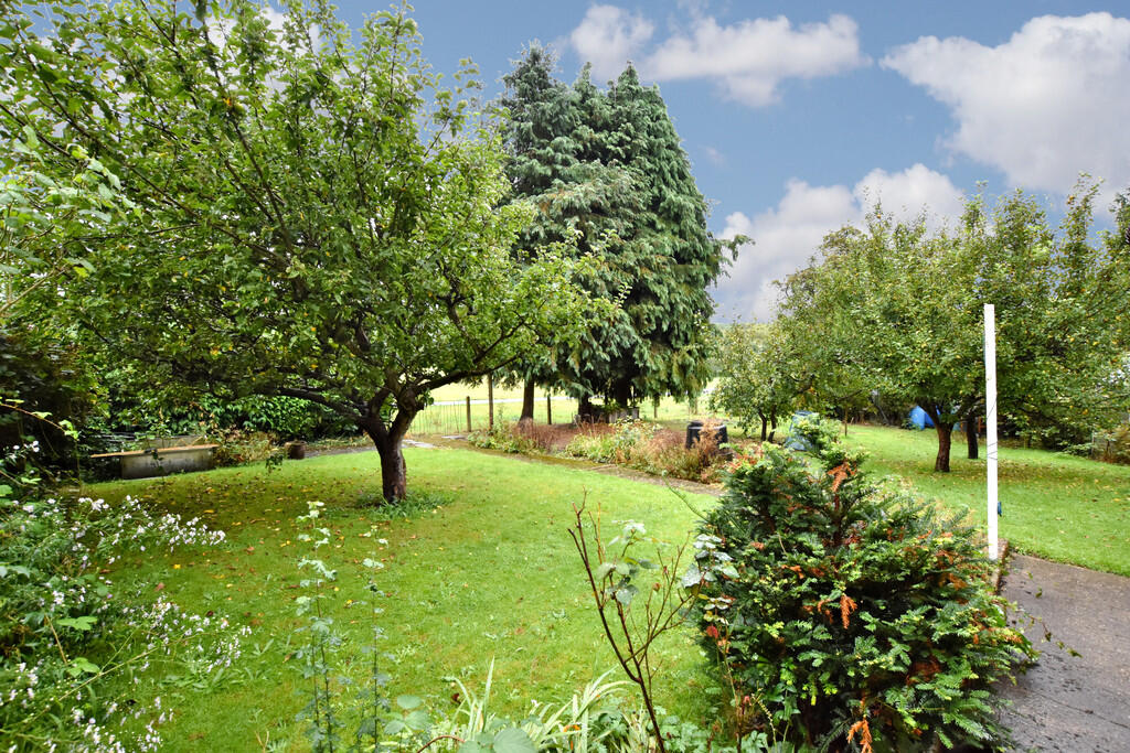 Garden (1)
