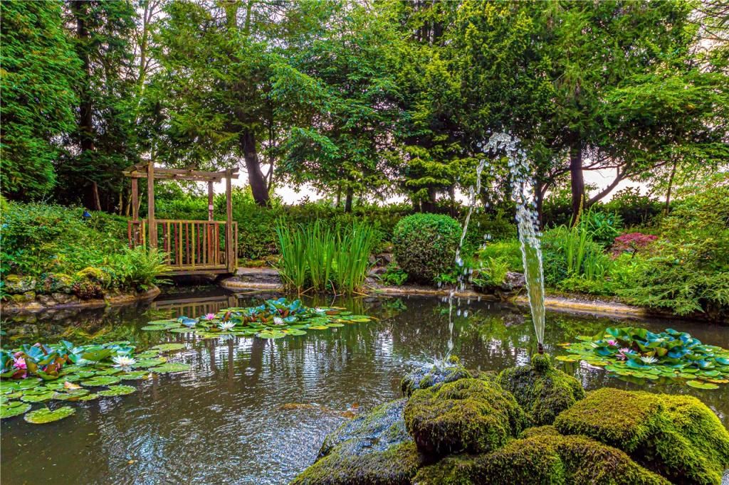 Water Garden