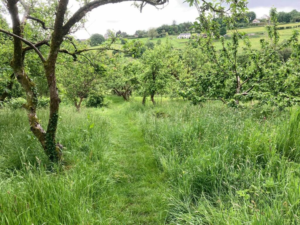 Greenmount Orchard