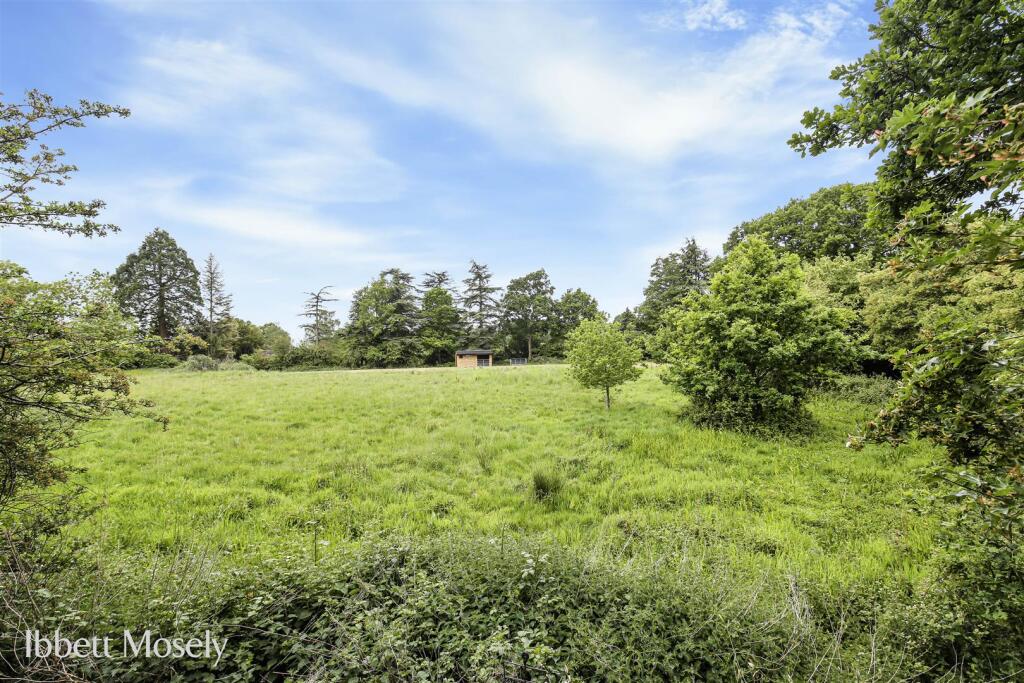 7 New Field May 25.jpg