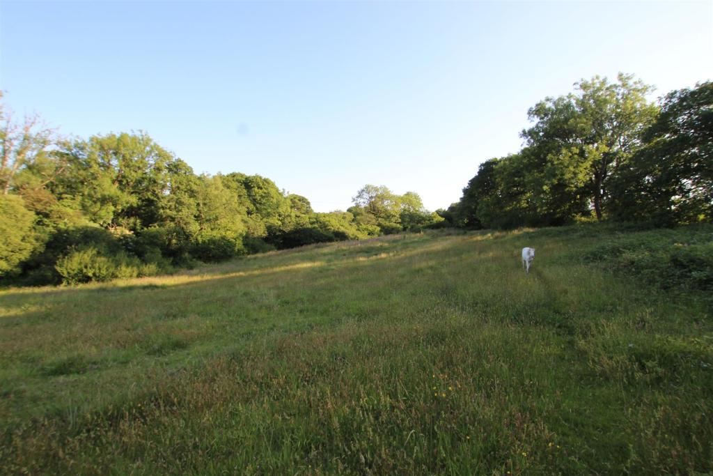 fields 2.JPG