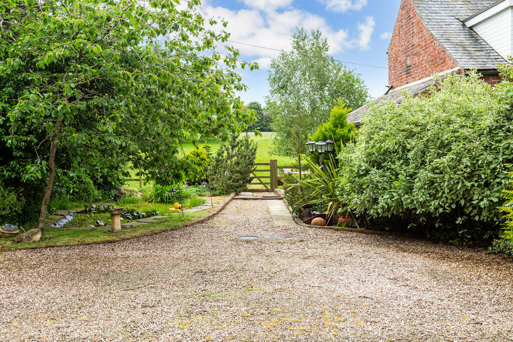 71431_The-Dairies...