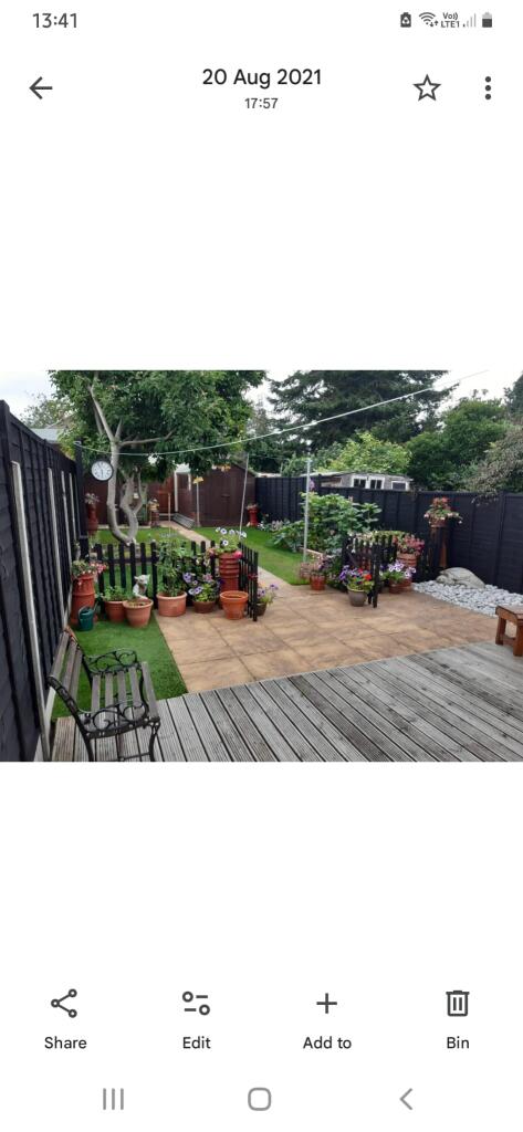 Owners summer time shot