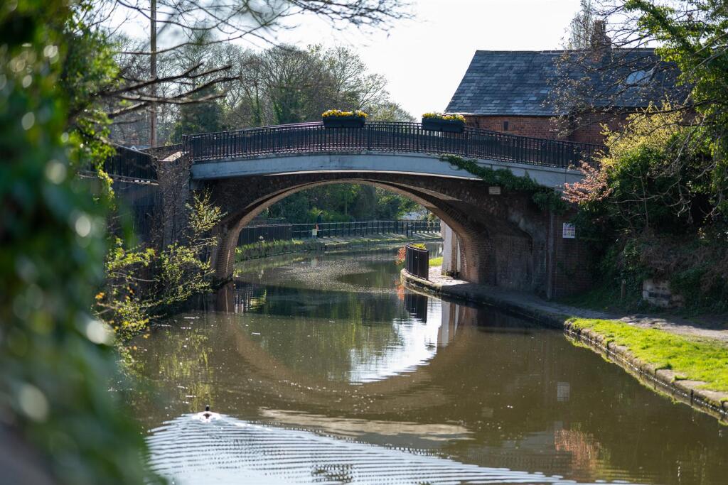 DSC_4176.jpg