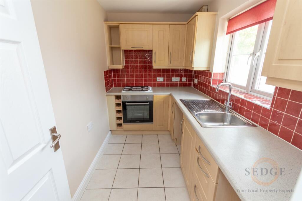 1 swan close-05.jpg