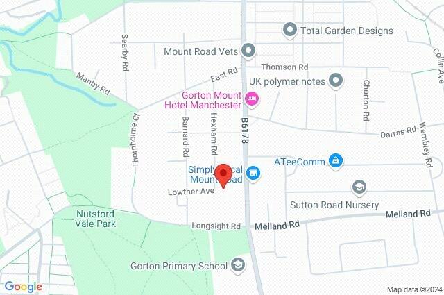 Google Maps Image