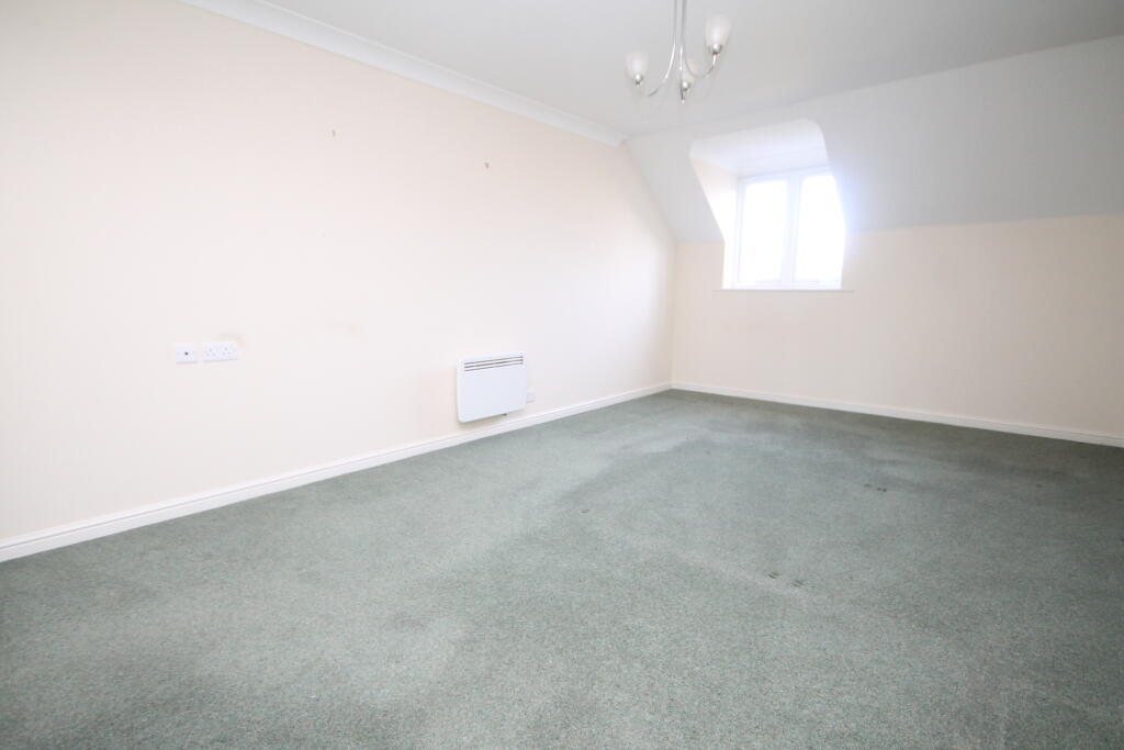 IMG 0283 T202511241457.jpg