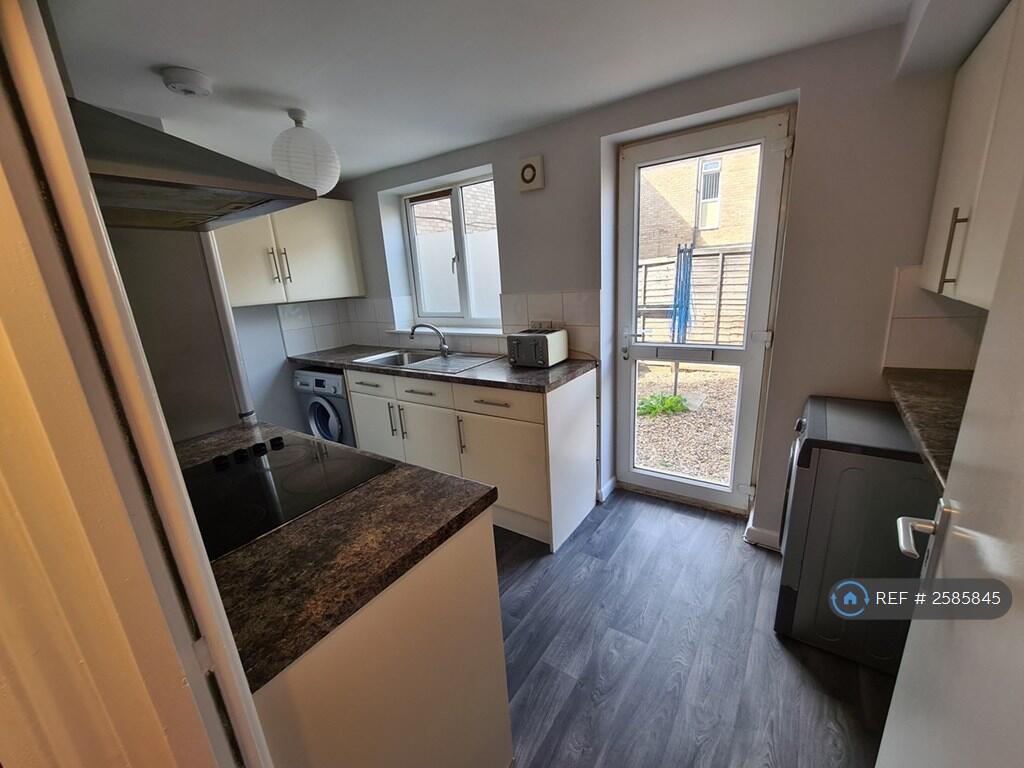 Modern Kitchen 