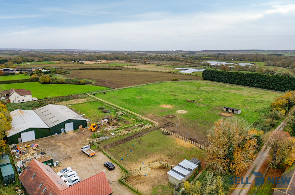 Yard and grounds 
