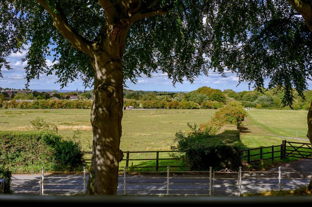 28 Whitewalls-33.jpg