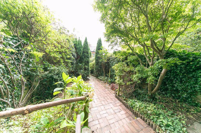 Pathway through garden