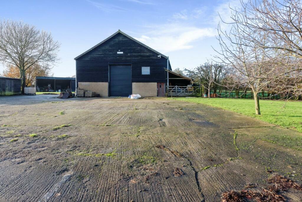 Large Barn Strawberry 1.jpeg