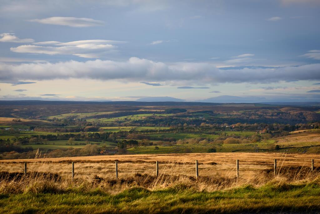 Whitby local area