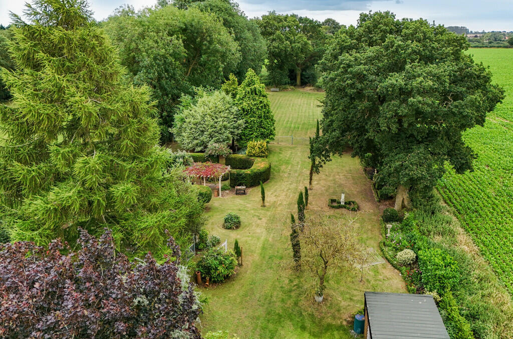 Garden 5
