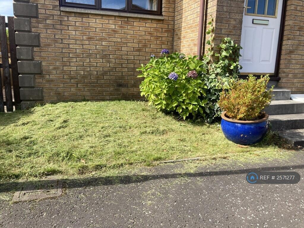 Garden Area