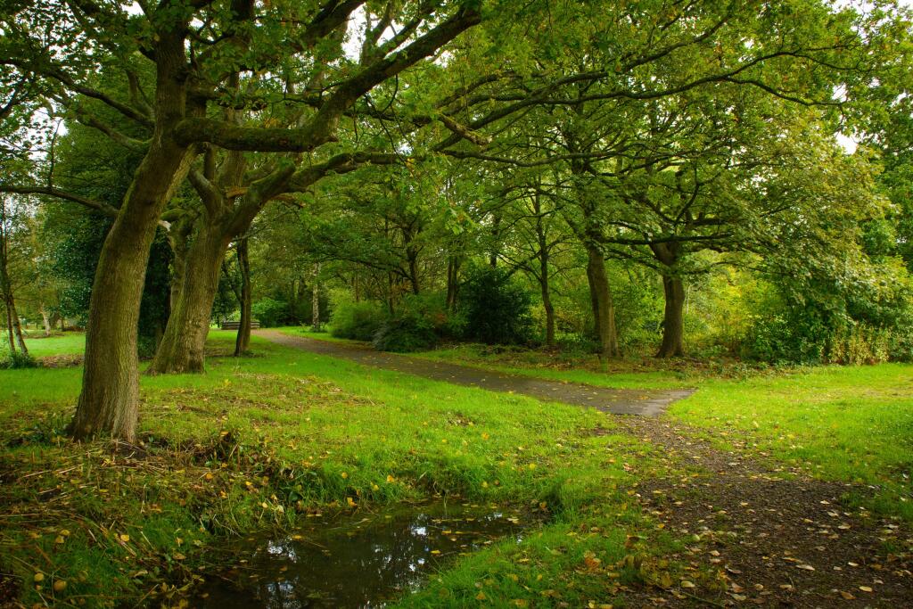 Local area image of Walmsley Park