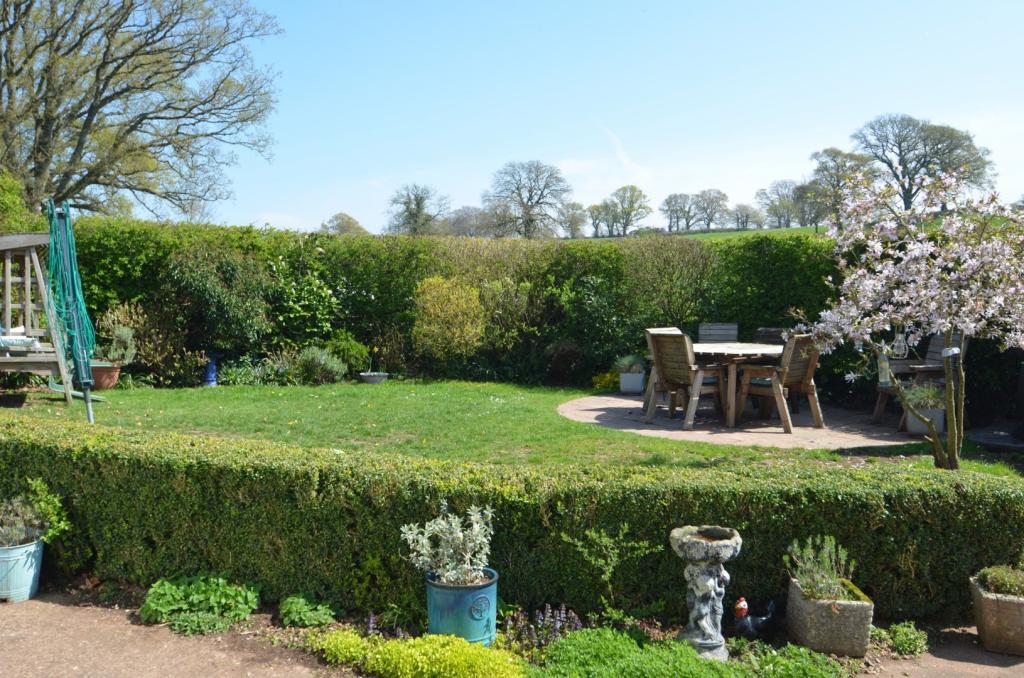 Garden 3