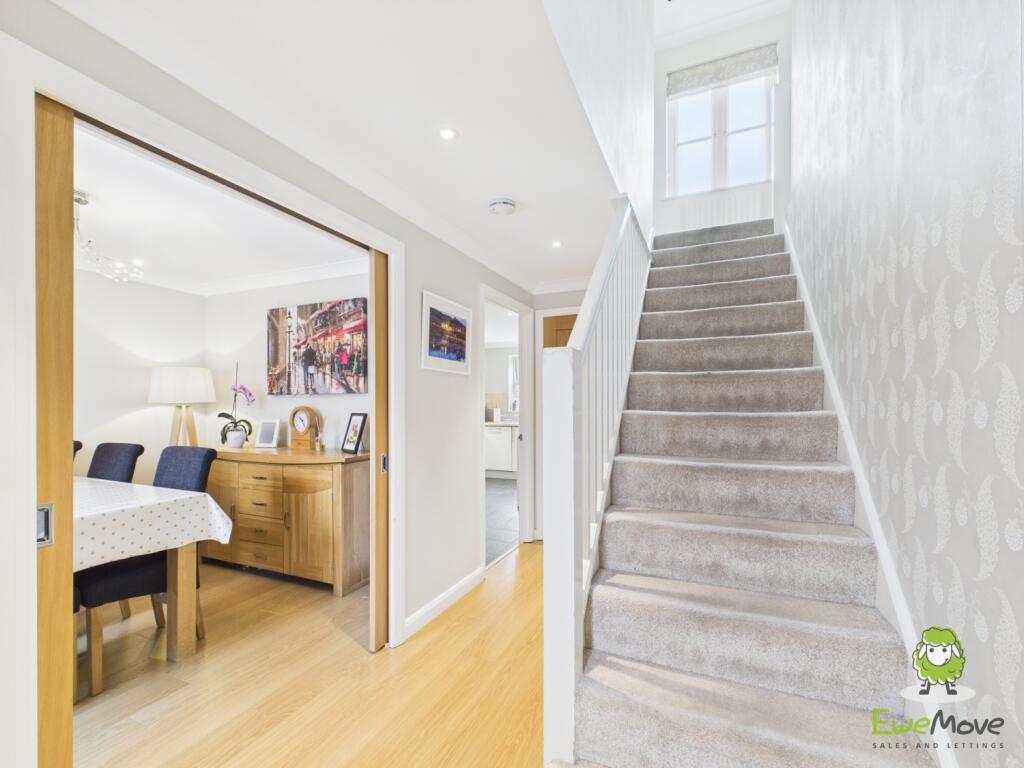 CAM03778G0-PR0181-STILL024