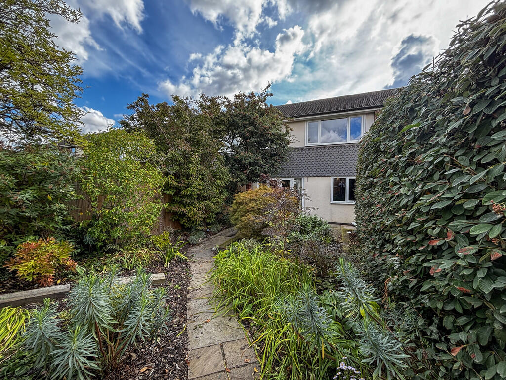 Garden 3