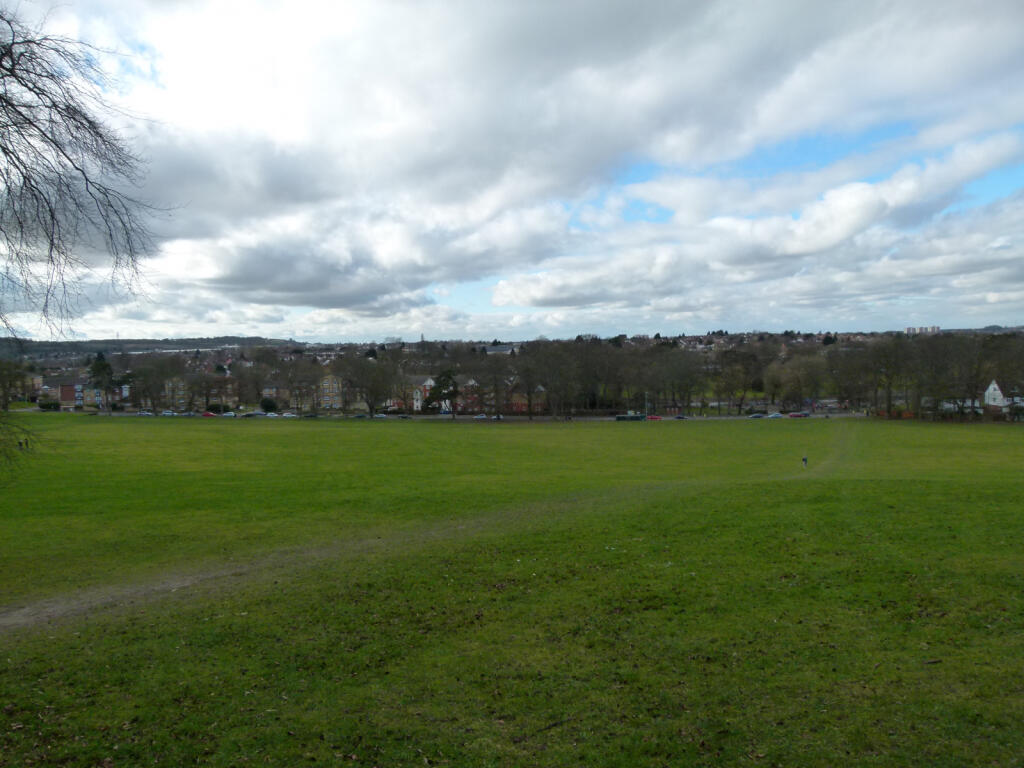 Popes Meadow