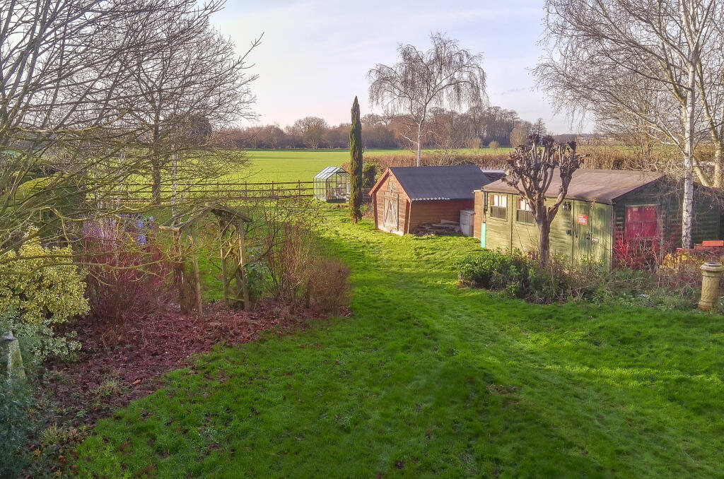 Rear garden 4