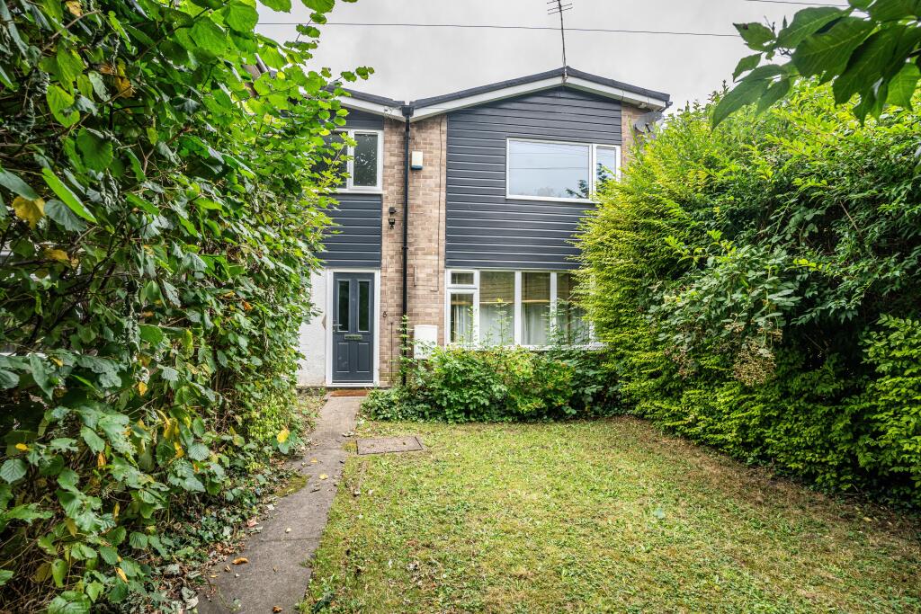 5 forsythia garden 1