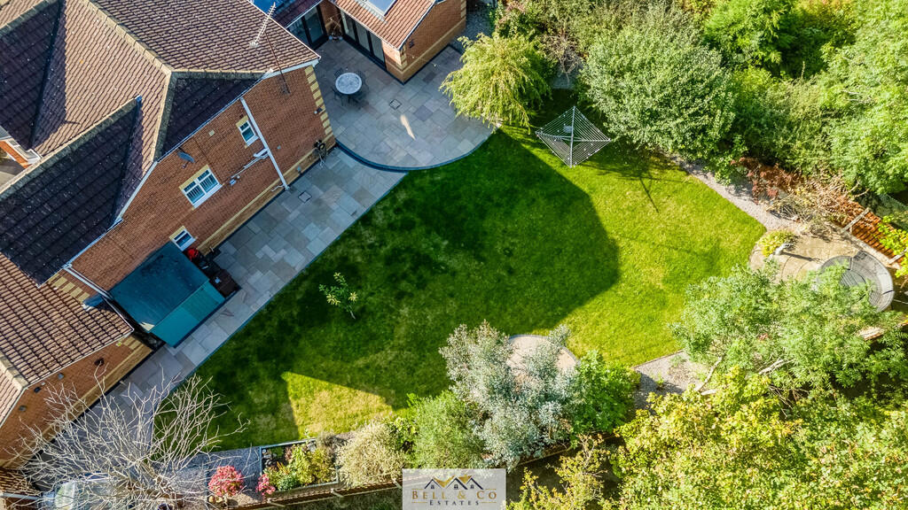 Aerial 5
