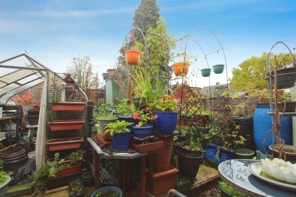 garden.jpeg