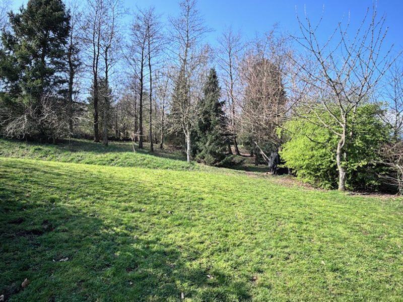 Garden &amp; Woods