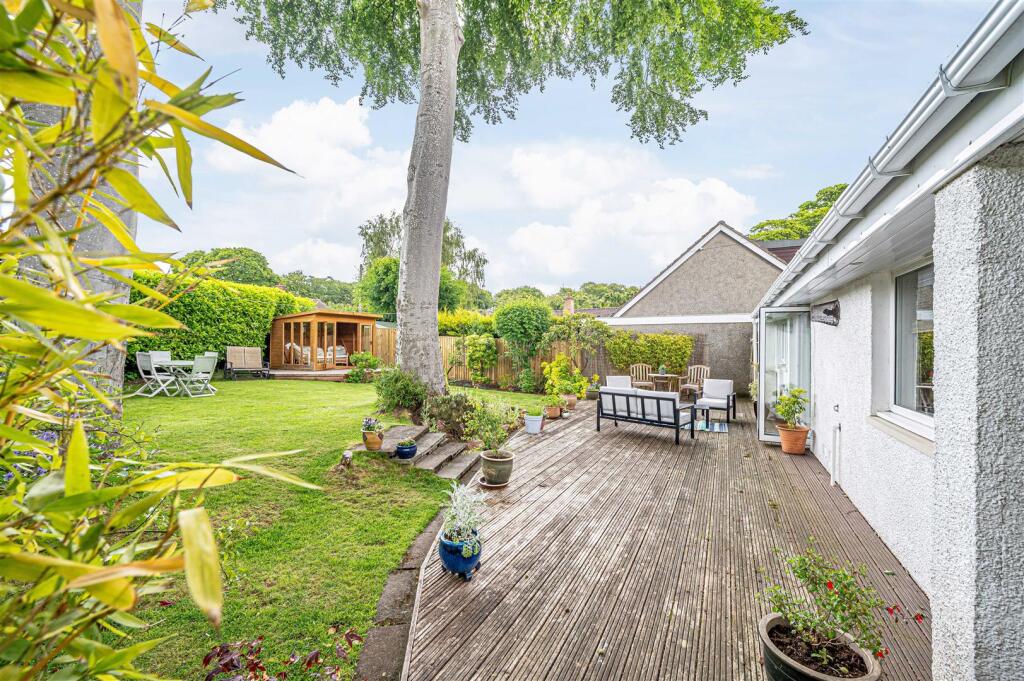 untitled (29 of 1).JPG