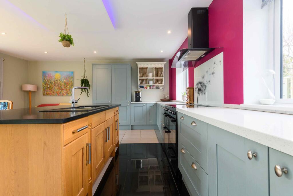 TEK HiRes 250205 049.jpeg