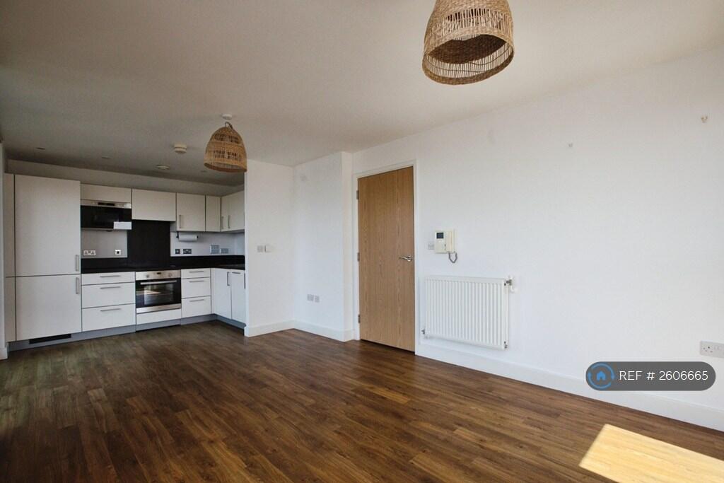 Living Room/Dining Room/Kitchen