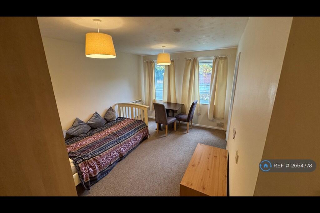 Lounge/Bedroom Area