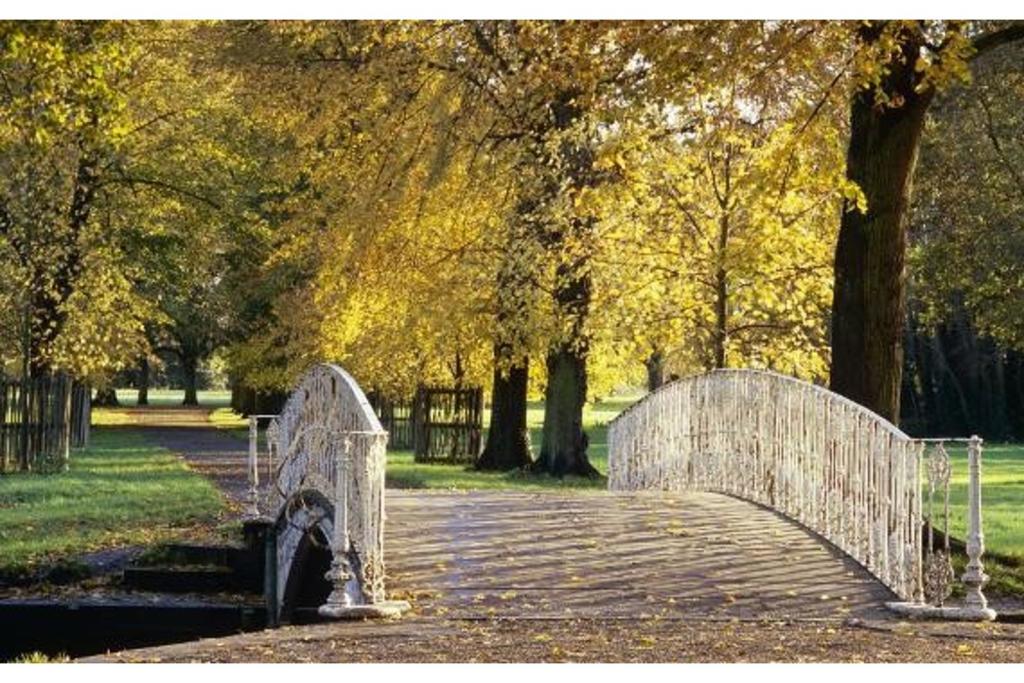 The Park