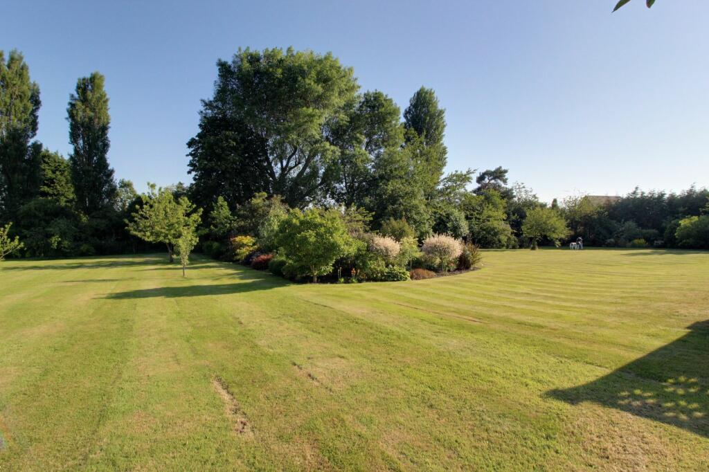 Orchard and Front Lawn