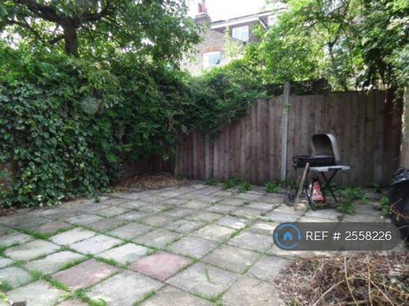 Back Garden