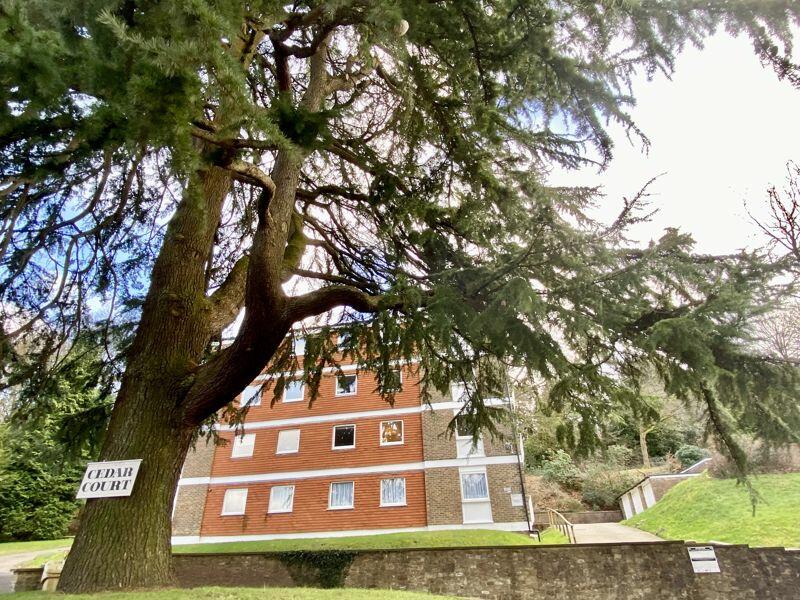 Cedar Court, Haslemere