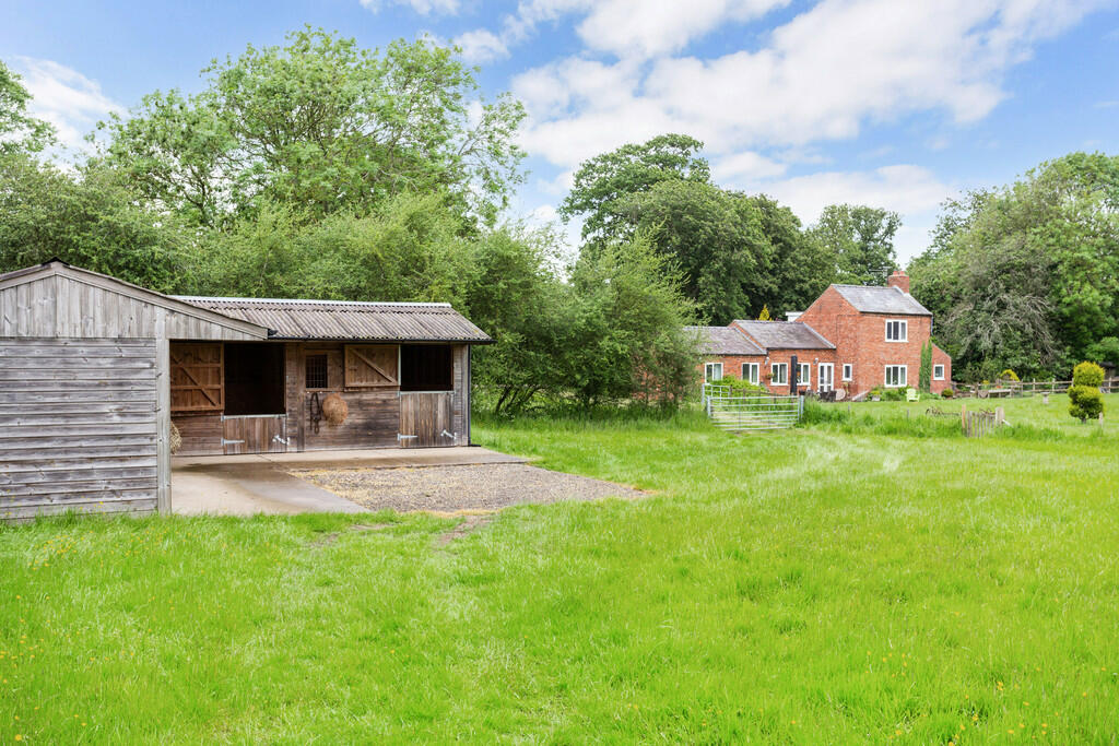 71431_The-Dairies...